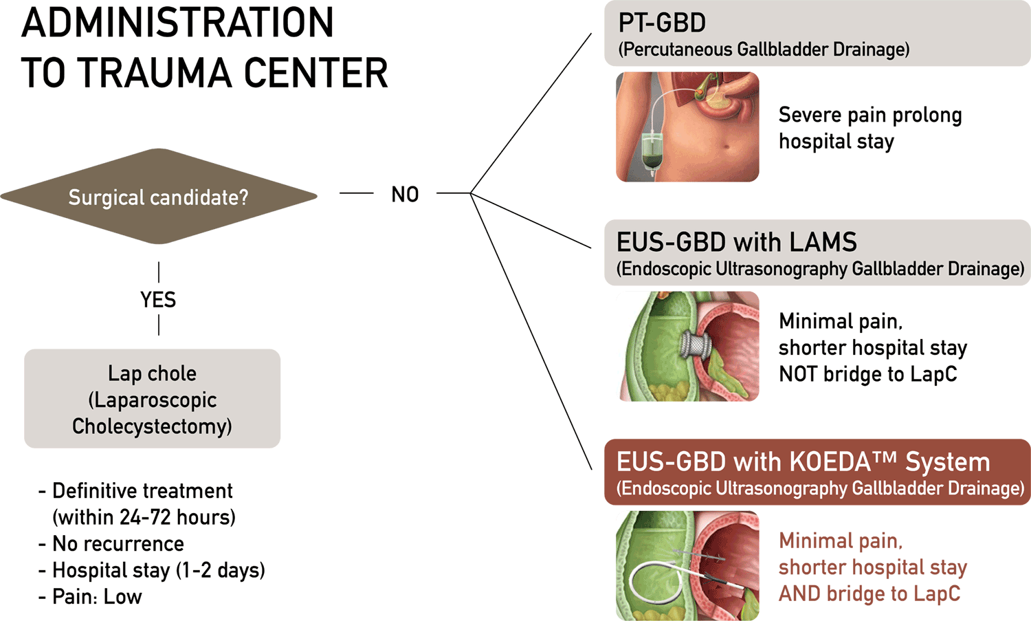 KOEDA-GBD-Endoscopic KOEDA-GBD-Endoscopic